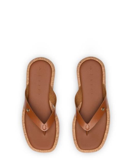 Reef Brown Sunset Low Maya Flip Flop