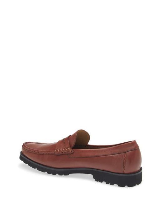 Robert Zur Brown Dillon Penny Loafer for men