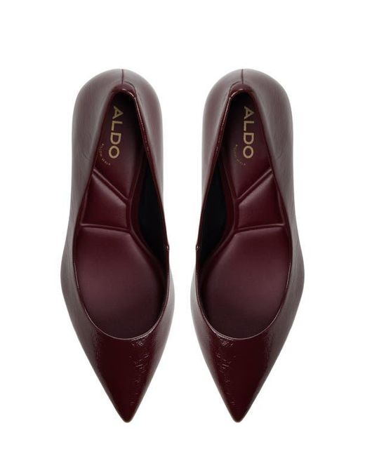 ALDO Brown Ybalelin Pointed Toe Pump