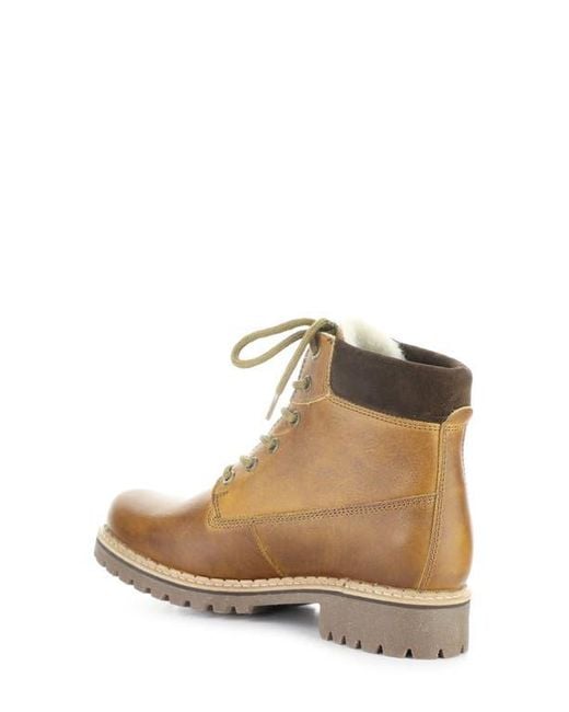 Bos. & Co. Brown Hartt Waterproof Boot