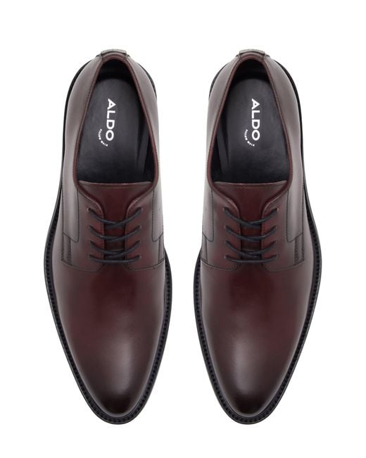 ALDO Libertine Derby in Brown for Men Lyst
