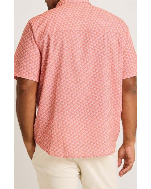 Tommy Bahama Pink Bahama Coast Tropic Geoscape Islandzone Short Sleeve Button-Up Shirt for men