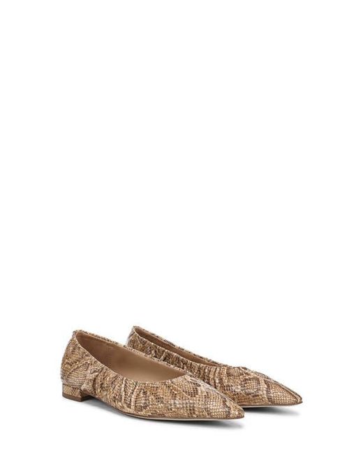 Sam Edelman Brown Essex Pointed Toe Flat