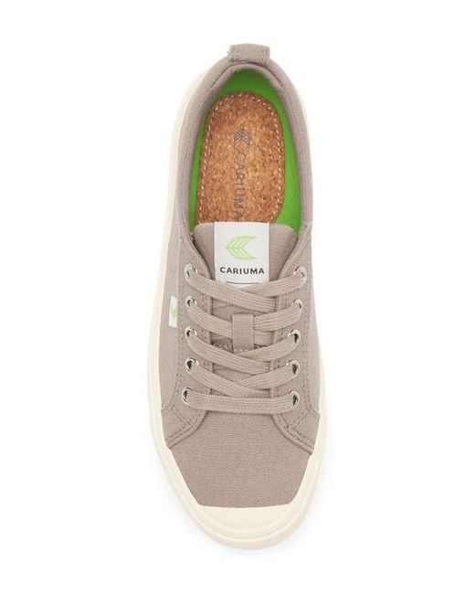 CARIUMA Gray Oca Low Cap Tie Sneaker