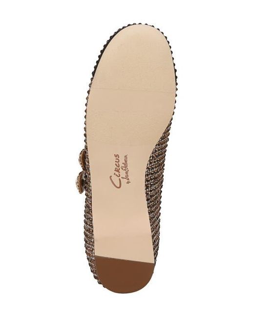 Circus by Sam Edelman Brown Zoey Cap Toe Mary Jane Flat