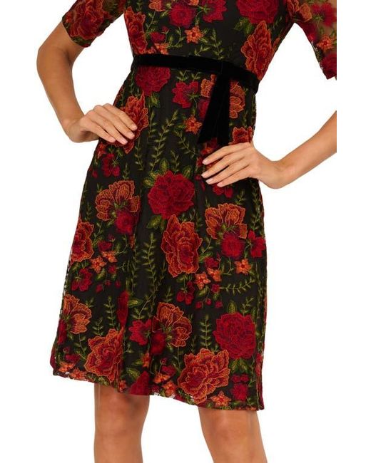 green emerald velvet dress Floral Embroidered Flounce Dress with Sheer Short Sleeves in Black Berry main image 1