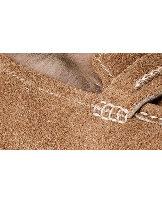 Ugg Brown Ellis Wool Loafer