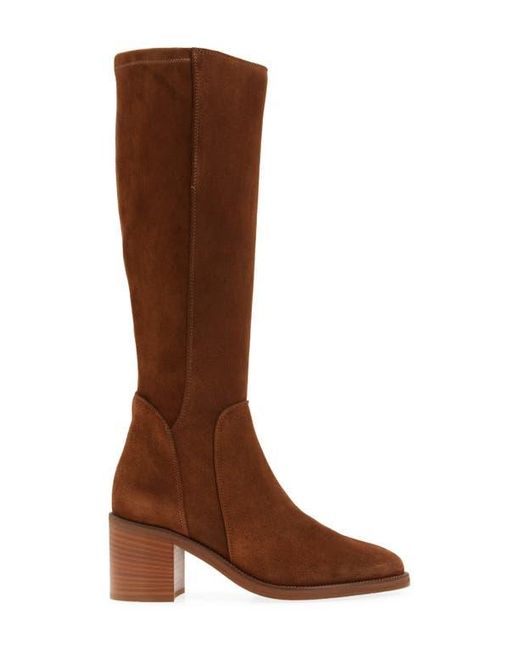 Aquatalia Brown Jasmina Weatherproof Knee High Boot