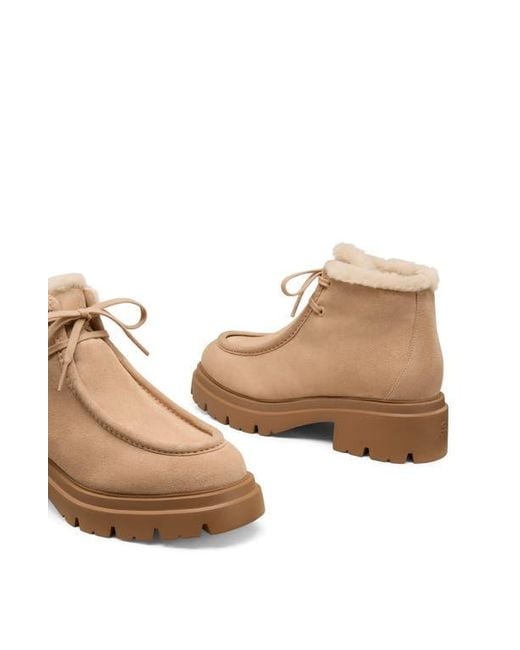 Stuart Weitzman Natural Hudson Genuine Shearling Lined Chukka Boot