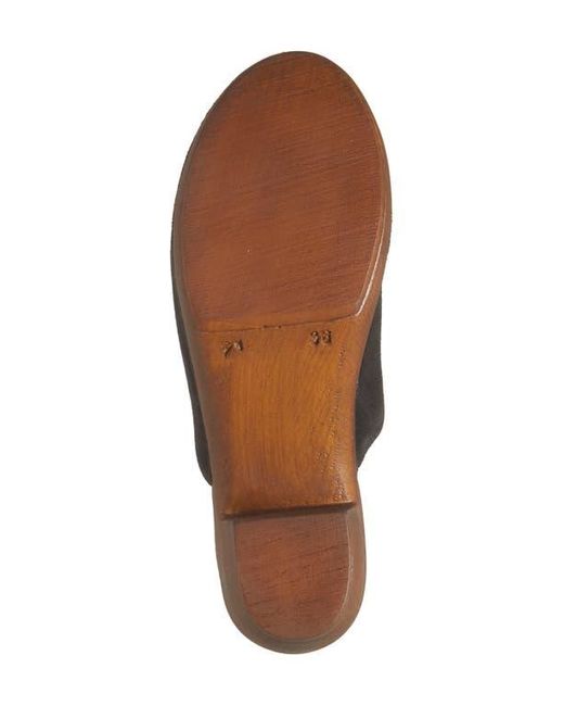 Cordani Brown Wanda Clog