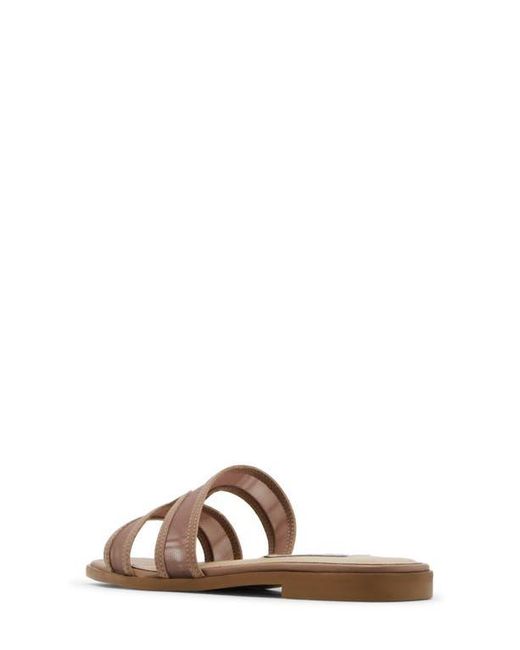 Steve Madden Brown Hazel Slide Sandal