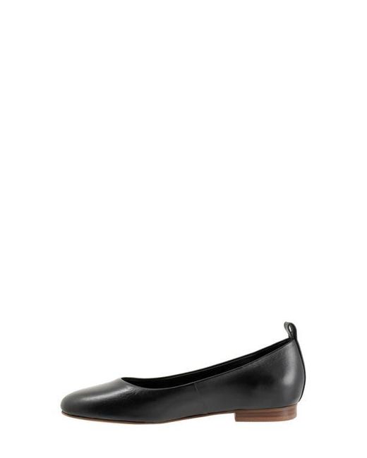 Softwalk® Black Kiris Flat