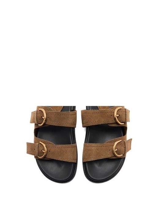 Mango Brown Double-Buckle Slide Sandal