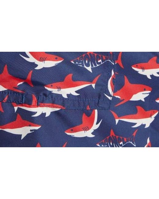 Moncler Blue Shark Print Swim Trunks for men