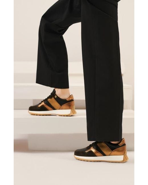 Naot Black Sunset Sneaker