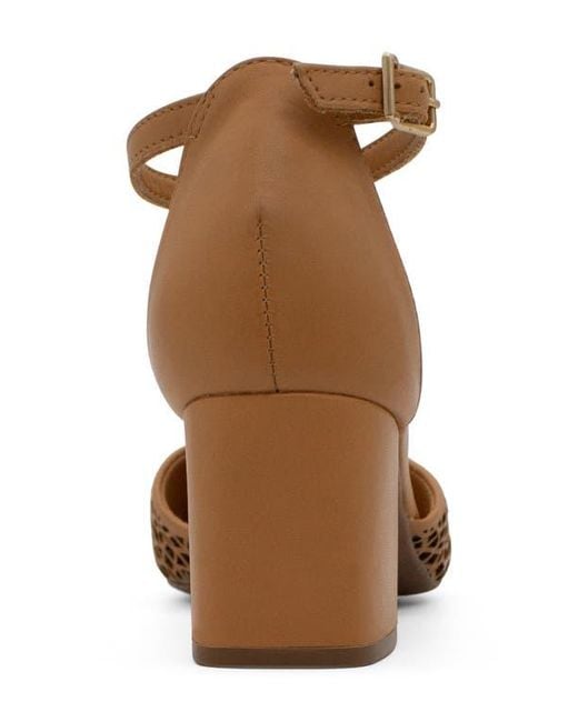 BOTTER Brown Botjanet Xxiii Ankle Strap Pointed Toe Pump