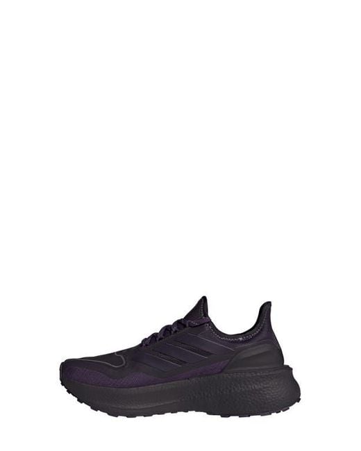 Adidas Blue Ultraboost 5 Gtx Running Shoe