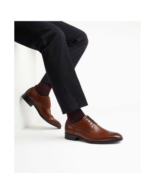 Dune Brown Satchel Plain Toe Derby for men