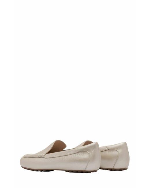 ABEO White Harbor Loafer