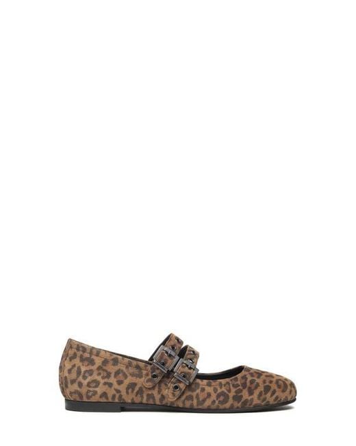 Nero Giardini Brown Double Strap Ballet Flat