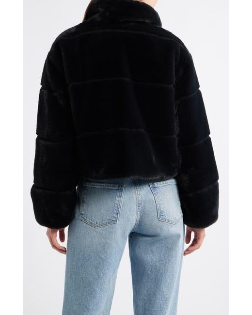 Save The Duck Black Yuki Reversible Jacket