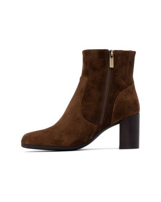 ABEO Brown Tempo Ankle Boot