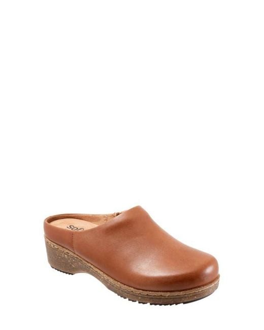 Softwalk® Brown Arvada Mule