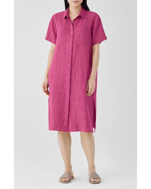 Eileen Fisher Pink Classic Collar Organic Linen Shirtdress
