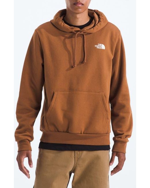 The North Face Brown Evolution Graphic Hoodie for men