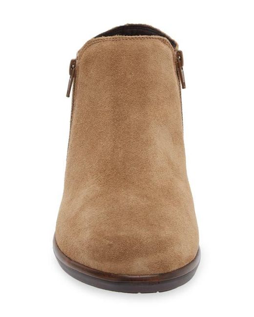 Naot Brown 'Helm' Bootie