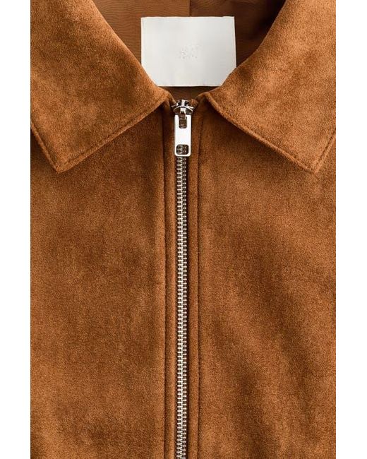 H&M Brown Collared Jacket