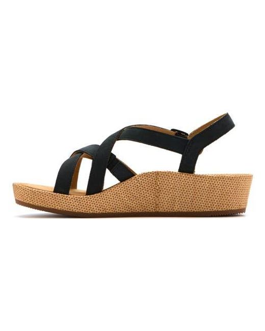 ABEO Blue Soleil Cross