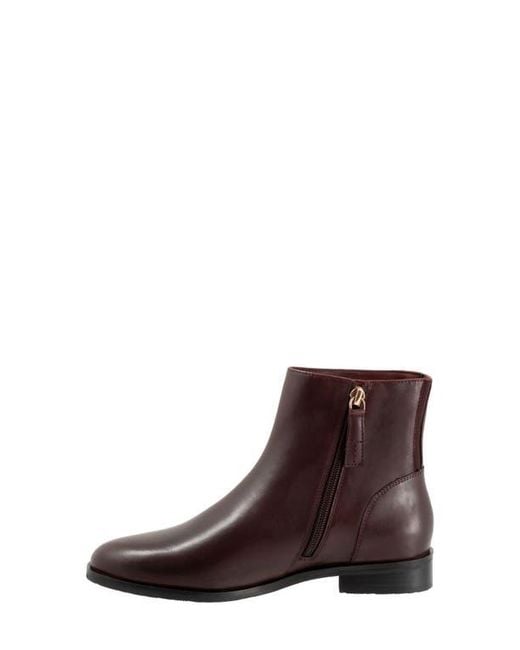 Trotters Brown Ava Bootie