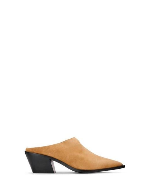 Yosi Samra Brown Savile Pointed Toe Mule