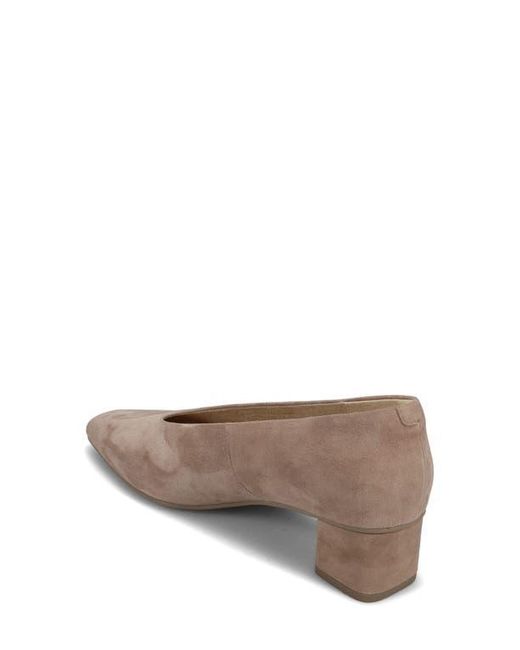 Vaneli Brown Solara Pump