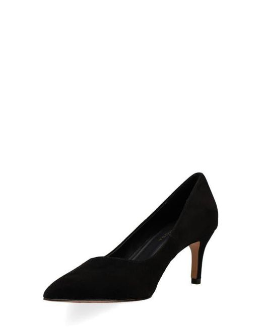 Pelle Moda Black Lailoni Pointed Toe Pump