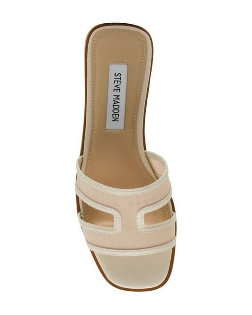 Steve Madden Multicolor Hazel Slide Sandal
