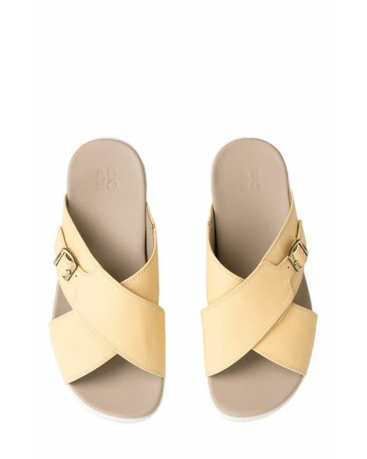 ABEO Metallic Solstice Cross Slide