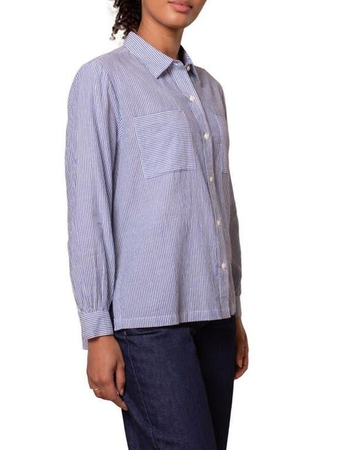 Celtic & Co. Purple Side Split Striped Shirt