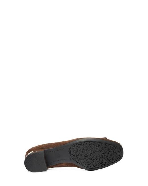 Ara Brown Garnet Suede Pump