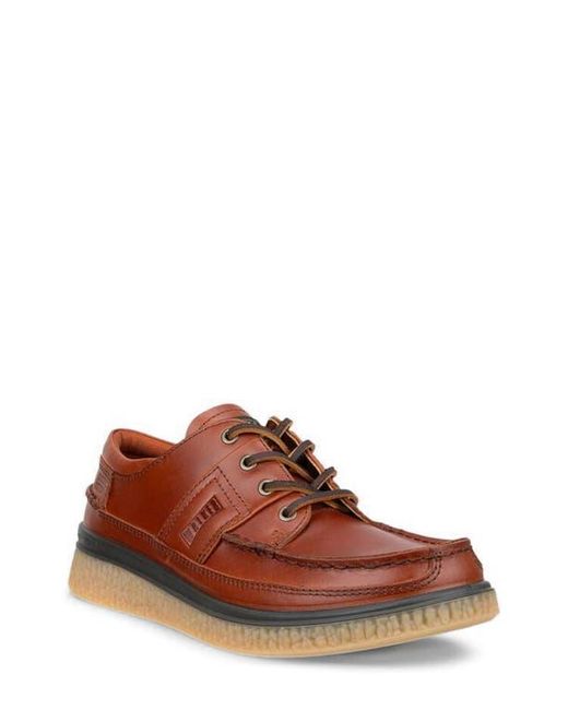 Ecco Brown Walker 3.0 Waterproof Sneaker for men