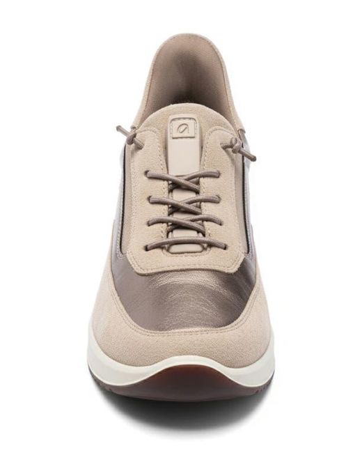 Ara Multicolor Lysa Low Top Sneaker