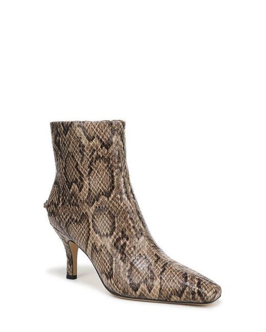 Circus by Sam Edelman Brown Laura Snakeskin Embossed Snip Toe Bootie