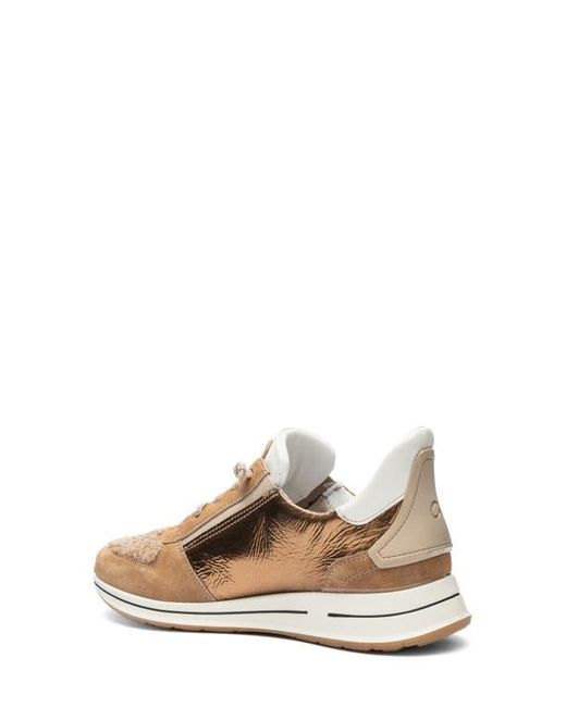 Ara Natural Ovation Sneaker