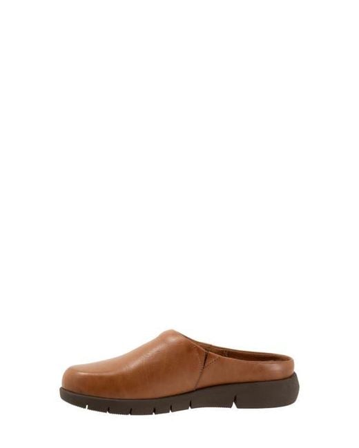 Softwalk® Brown Andria Mule