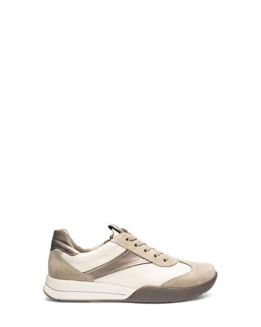 Ara White Myrtle Sneaker