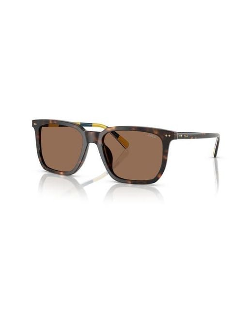 Polo Ralph Lauren Brown 55Mm Rectangular Sunglasses for men