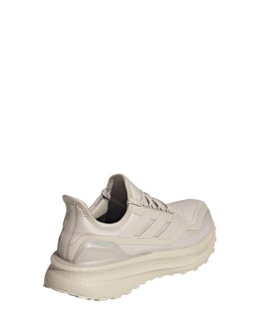 Adidas White Ultraboost 5 Gtx Running Shoe