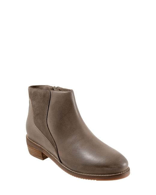 Softwalk® Brown Racine Bootie