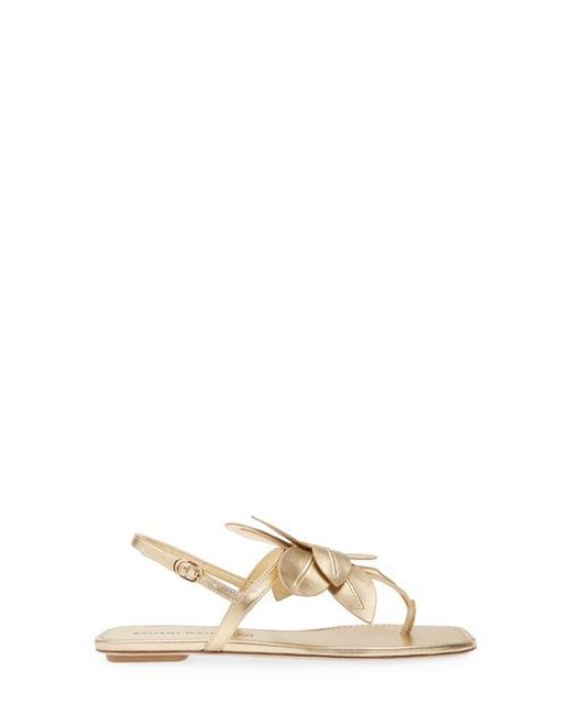 Stuart Weitzman Natural Paradise Slingback Sandal